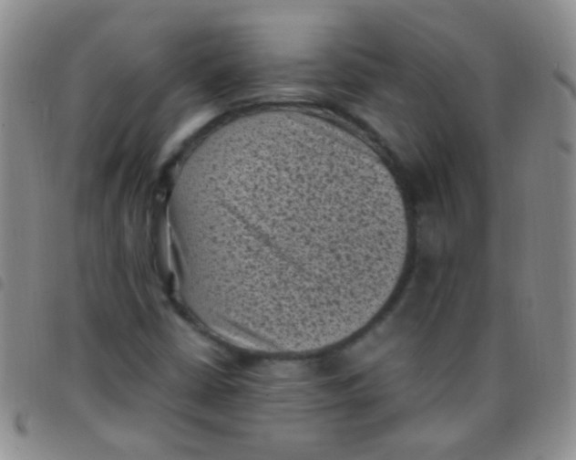 X0000097501402200803142009