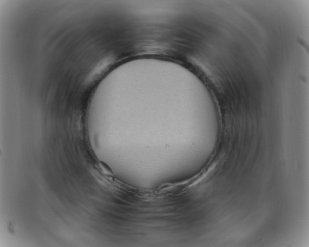 X0000097501403200803142009