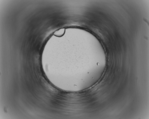 X0000097501404200803142009