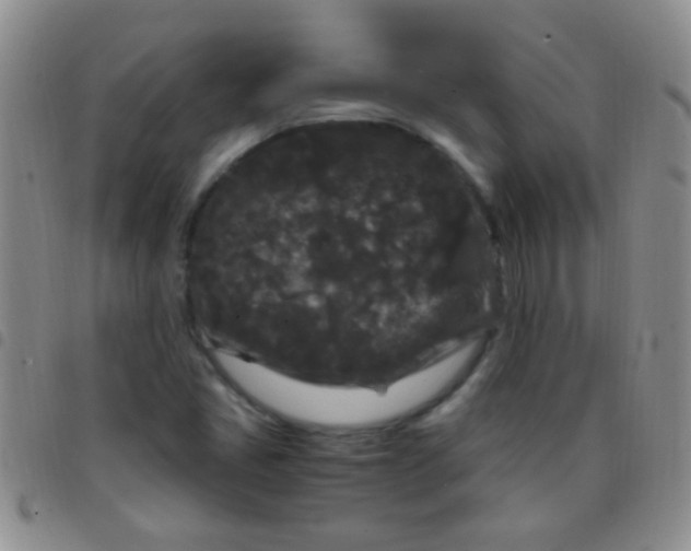 X0000097501405200803142009