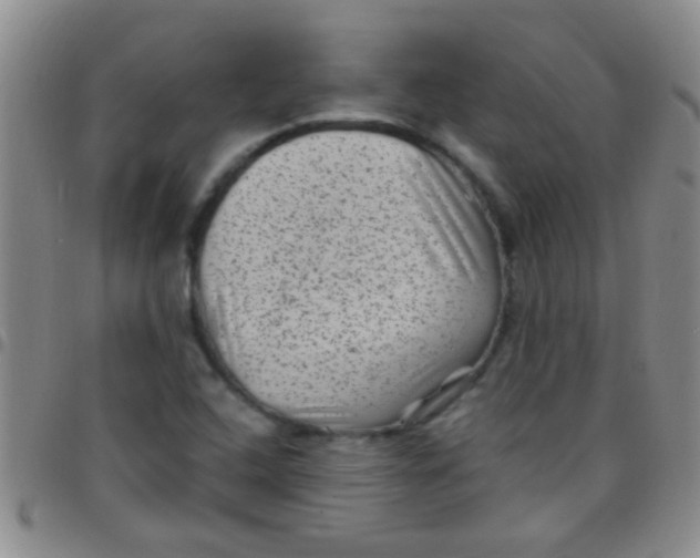 X0000097501408200803142009