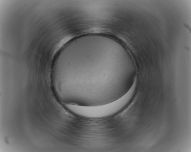 X0000097501410200803142009