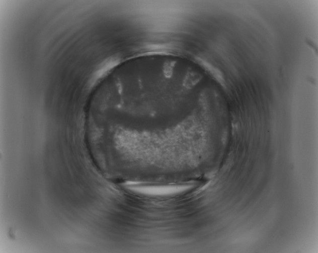 X0000097501411200803142009