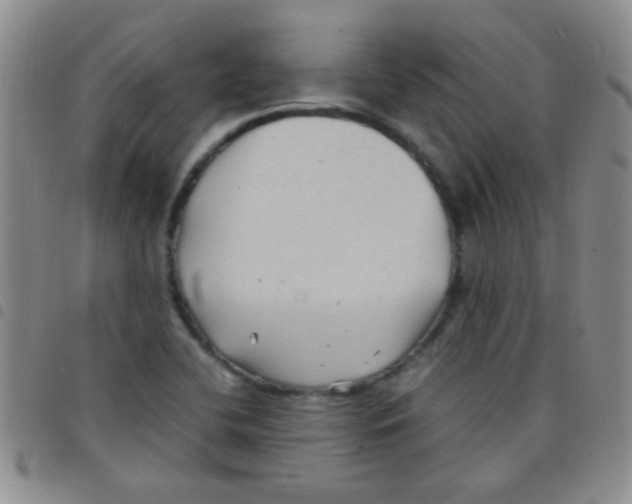 X0000097501412200803142009