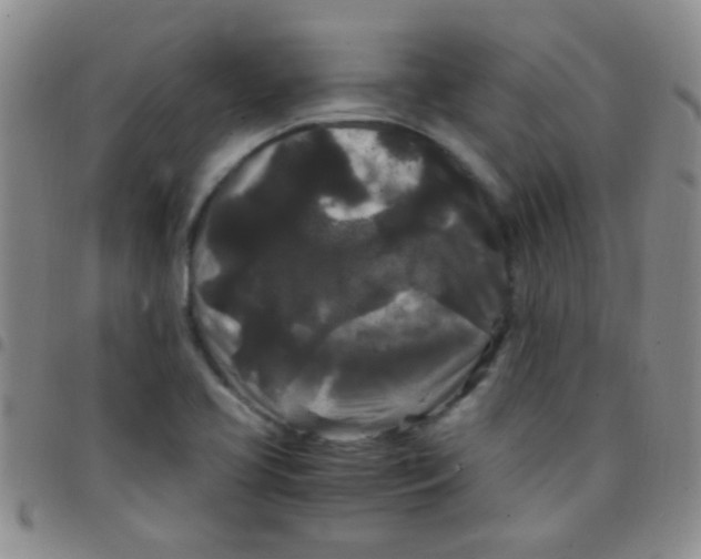 X0000097501413200803142009