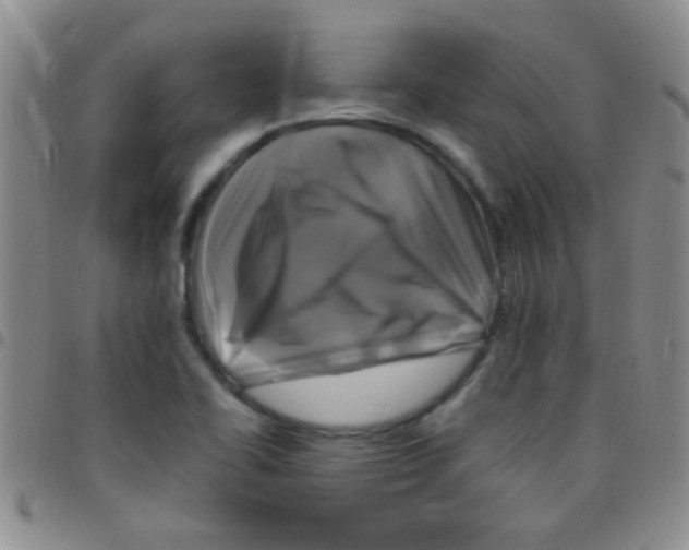 X0000097501414200803142009