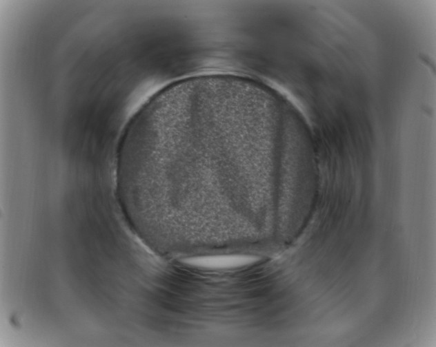 X0000097501415200803142009