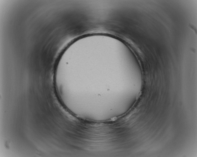 X0000097501416200803142009