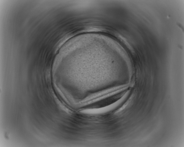 X0000097501417200803142009