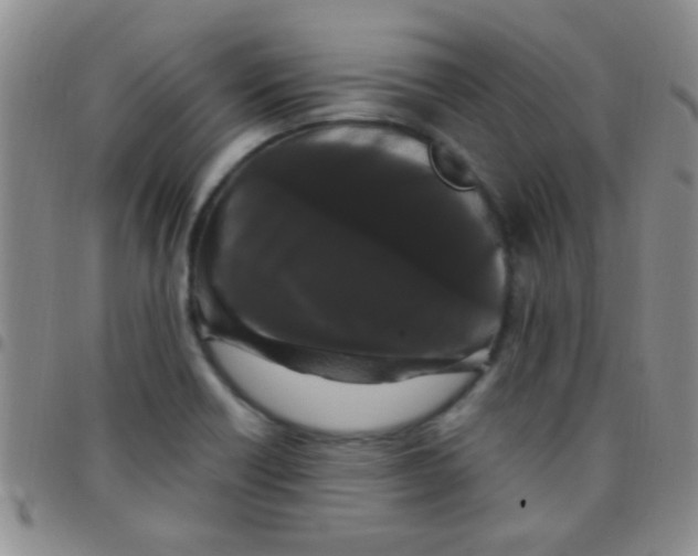 X0000097501418200803142009