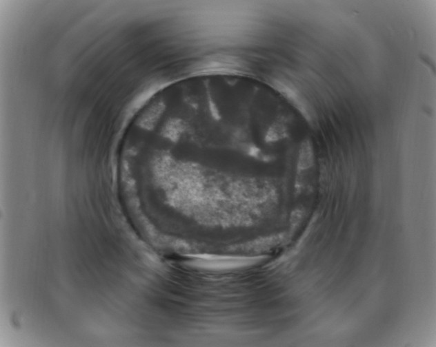 X0000097501419200803142009