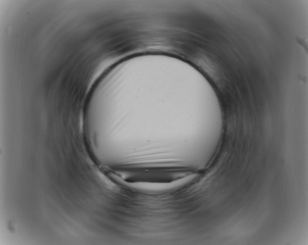 X0000097501420200803142009