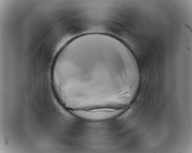 X0000097501422200803142009