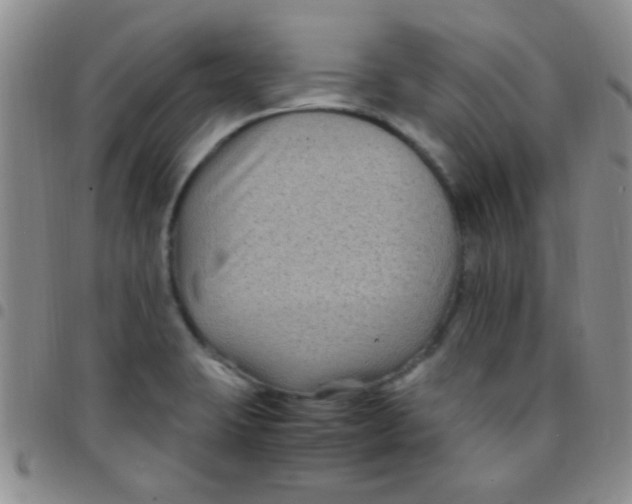 X0000097501423200803142009