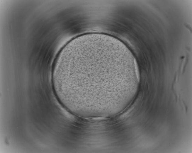 X0000097501424200803142009