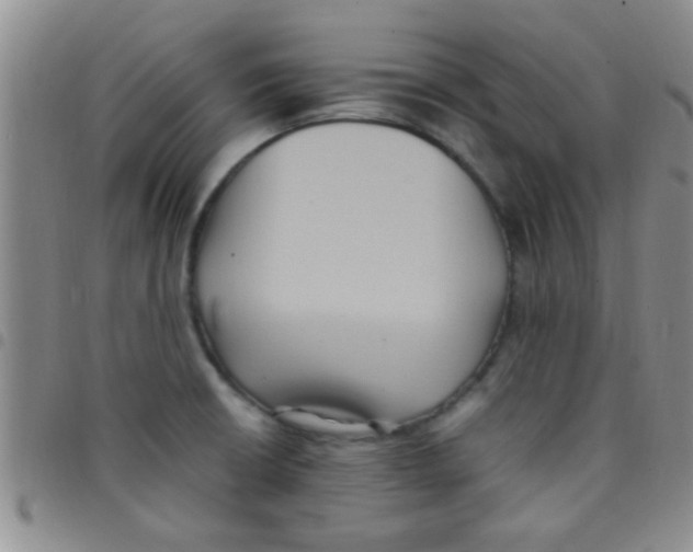 X0000097501426200803142009