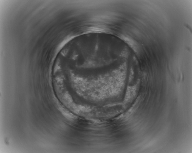 X0000097501427200803142009