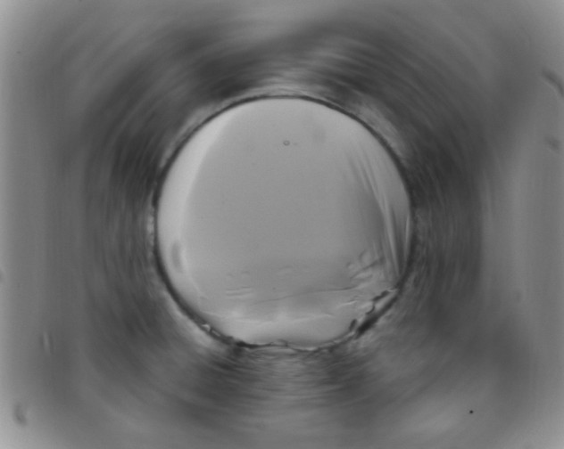 X0000097501428200803142009