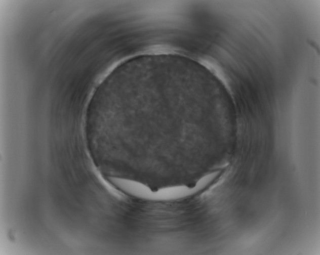 X0000097501429200803142009