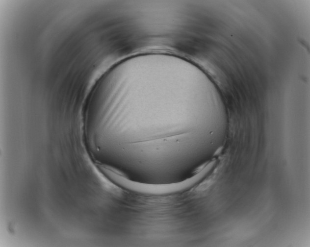 X0000097501430200803142009