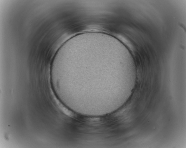 X0000097501431200803142009