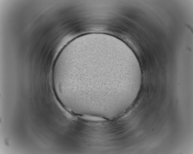 X0000097501432200803142009