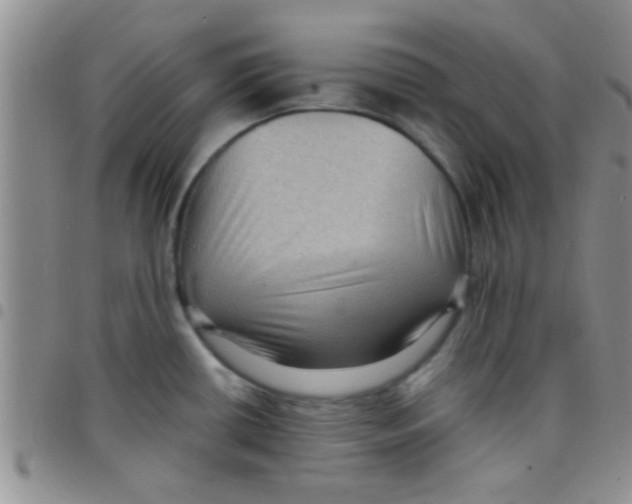 X0000097501434200803142009