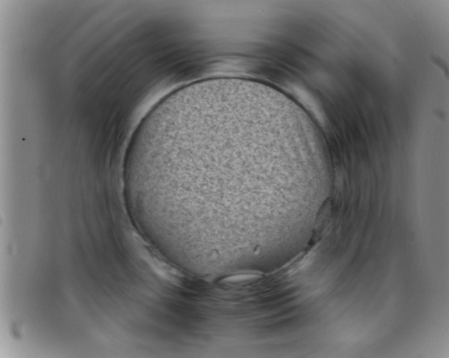 X0000097501435200803142009