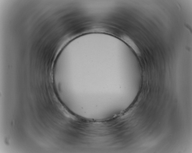 X0000097501436200803142009