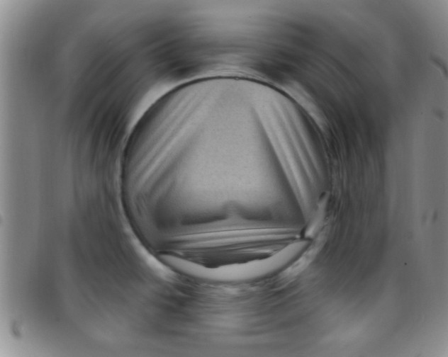 X0000097501438200803142009