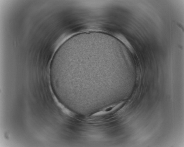 X0000097501439200803142009