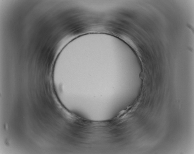 X0000097501440200803142010