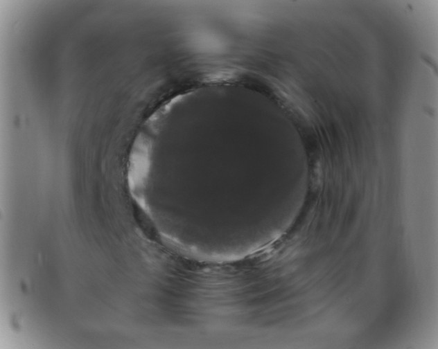 X0000097501441200803142009