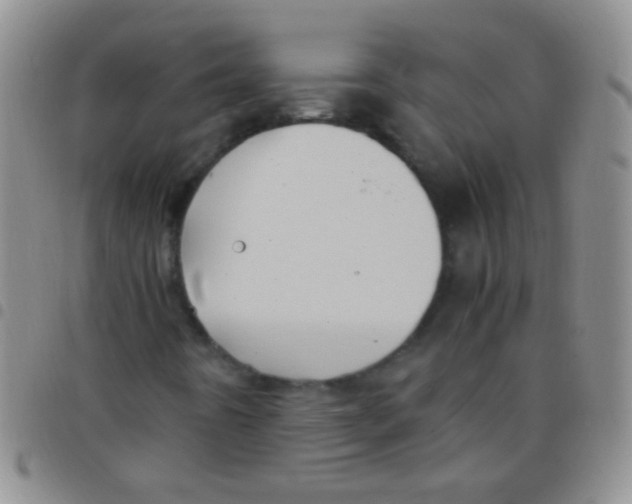 X0000097501442200803142009