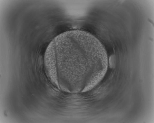 X0000097501443200803142009