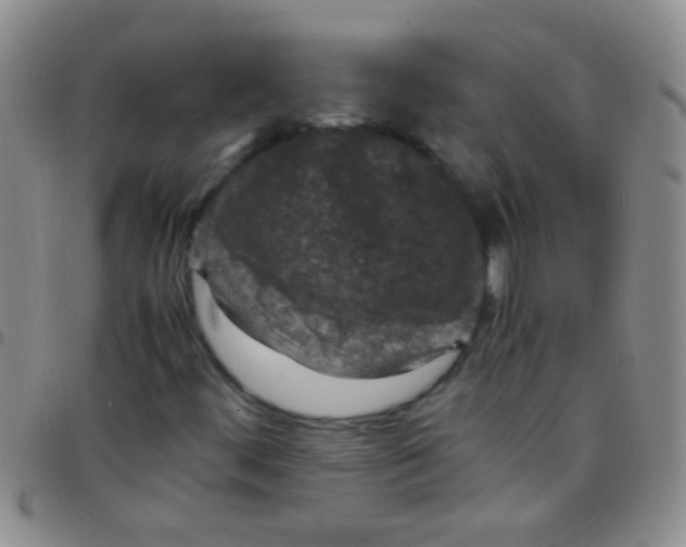 X0000097501444200803142009