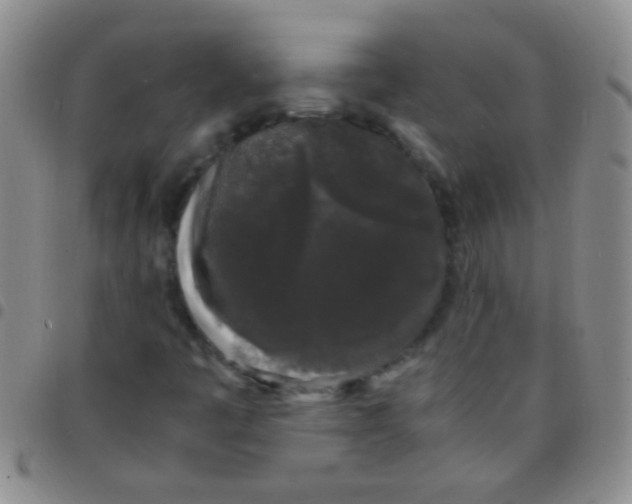 X0000097501445200803142009