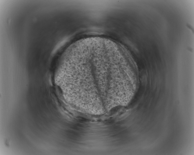 X0000097501448200803142009