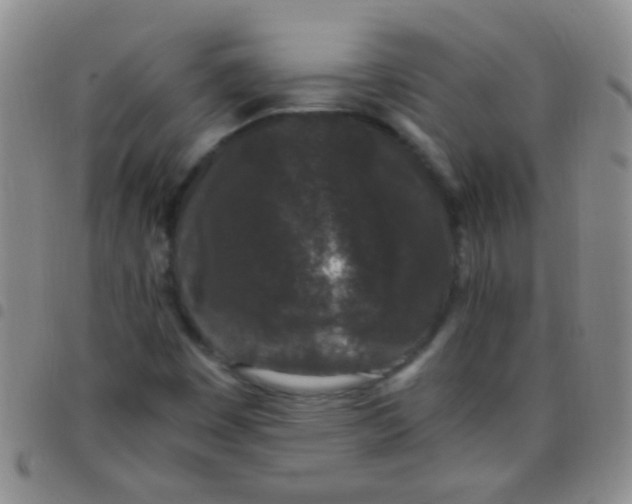 X0000097501449200803142009