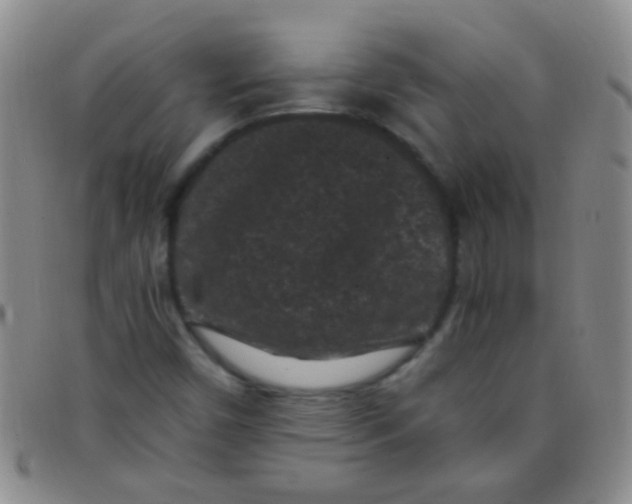 X0000097501450200803142009