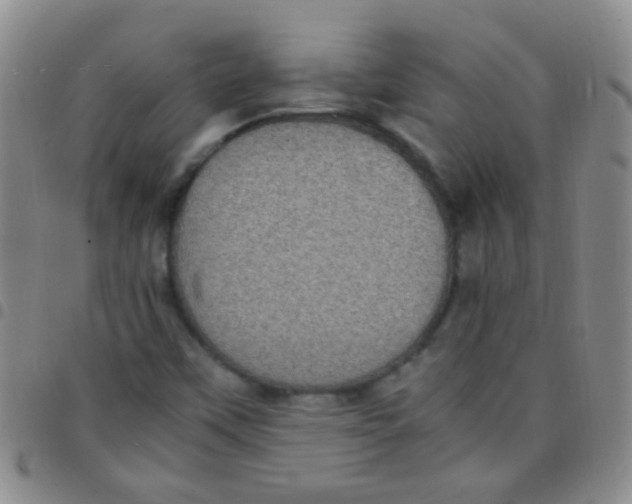 X0000097501451200803142009