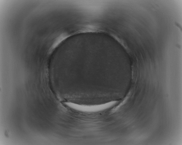 X0000097501453200803142009