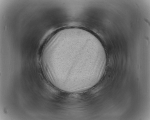 X0000097501454200803142009