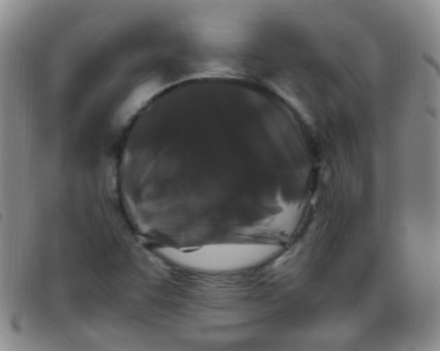 X0000097501455200803142009