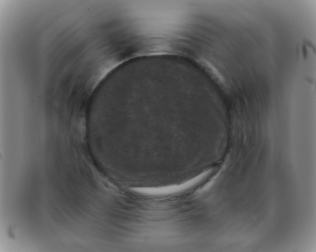 X0000097501457200803142009