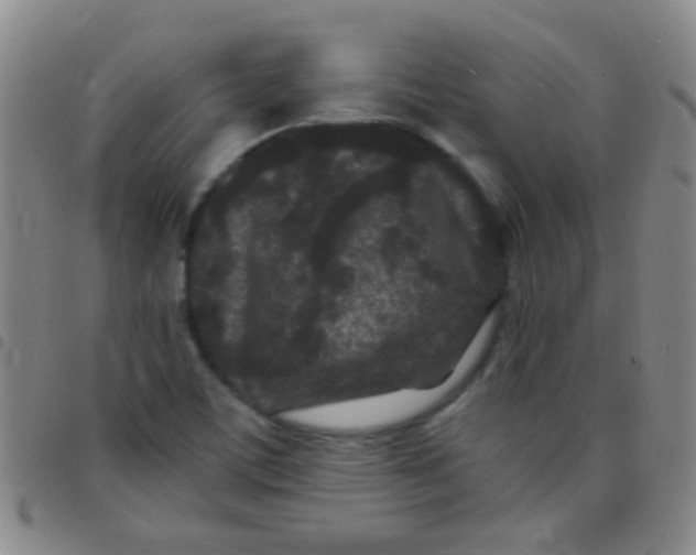 X0000097501459200803142009