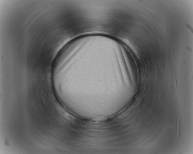 X0000097501460200803142009