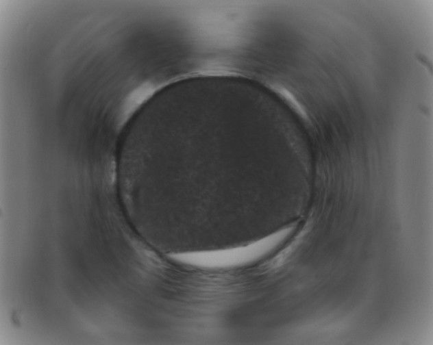 X0000097501461200803142009