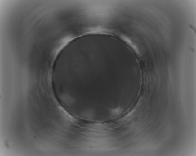 X0000097501463200803142009