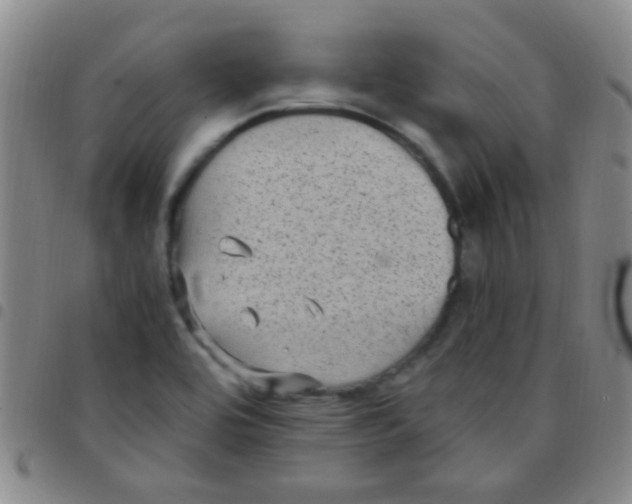 X0000097501464200803142009